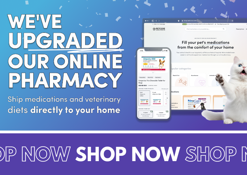 Carousel Slide 2: We have updated our new pharmacy!