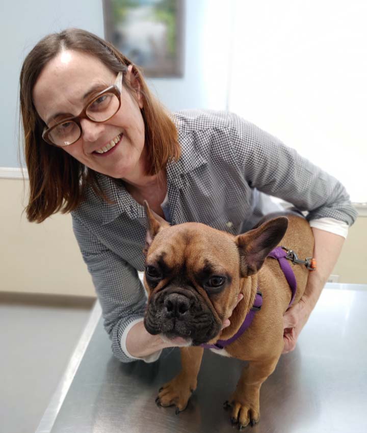 Experienced Veterinarians | Trenton Animal Hospital
